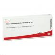 RETICULOENDOTHELIALES System GL D 12 Ampullen