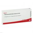 RETICULOENDOTHELIALES System GL D 5 Ampullen