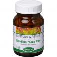 RHODIOLA ROSEA Plus B-Vitamine Kapseln