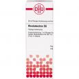 RHODODENDRON D 8 Dilution