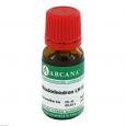 RHODODENDRON LM 6 Dilution
