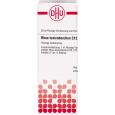 RHUS TOXICODENDRON C 12 Dilution