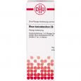 RHUS TOXICODENDRON C 6 Dilution