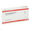 RHUS TOXICODENDRON D 12 Ampullen