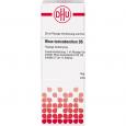 RHUS TOXICODENDRON D 5 Dilution