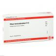 RHUS TOXICODENDRON D 6 Ampullen