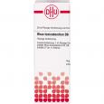 RHUS TOXICODENDRON D 8 Dilution