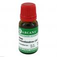 RHUS TOXICODENDRON LM 1 Dilution