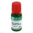 RHUS TOXICODENDRON LM 12 Dilution