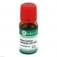 RHUS TOXICODENDRON LM 30 Dilution