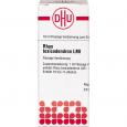 RHUS TOXICODENDRON LM I Dilution Ind.Fert.