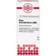 RHUS TOXICODENDRON LM III Dilution Ind.Fert.