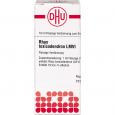 RHUS TOXICODENDRON LM VI Dilution