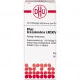 RHUS TOXICODENDRON LM XXIV Dilution