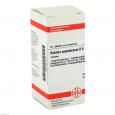 ROBINIA PSEUDACACIA D 6 Tabletten