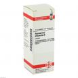 ROSMARINUS OFFICINALIS Urtinktur D 1
