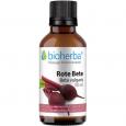 ROTE BETE Beta vulgaris Tinktur