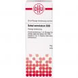 SABAL SERRULATUM D 30 Dilution