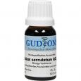 SABAL SERRULATUM Q 25 Lösung