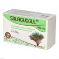 SALAIGUGGUL Tabletten