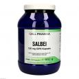 SALBEI 120 mg GPH Kapseln
