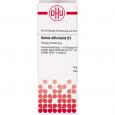 SALVIA OFFICINALIS D 1 Dilution