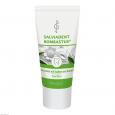 SALVIADENT Bombastus Zahncreme