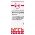 SAMBUCUS NIGRA C 1000 Globuli Ind.Fert.