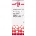 SAMBUCUS NIGRA D 1 Dilution
