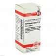 SAMBUCUS NIGRA D 2 Globuli