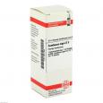 SAMBUCUS NIGRA D 3 Dilution