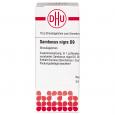 SAMBUCUS NIGRA D 9 Globuli Ind.Fert.