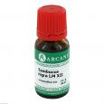 SAMBUCUS NIGRA LM 12 Dilution