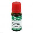 SAMBUCUS NIGRA LM 6 Dilution