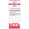 SAMBUCUS NIGRA LM VI Dilution
