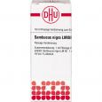 SAMBUCUS NIGRA LM XII Dilution Ind.Fert.