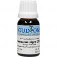 SAMBUCUS NIGRA Q 23 Lösung
