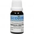 SAMBUCUS NIGRA Q 8 Lösung
