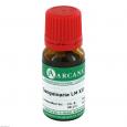 SANGUINARIA LM 12 Dilution