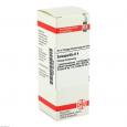 SARSAPARILLA D 4 Dilution