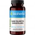 SAW Palmetto Sägepalme 350 mg Kapseln