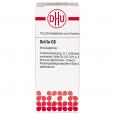 SCILLA C 6 Globuli Ind.Fert.