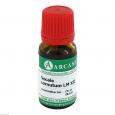 SECALE CORNUTUM LM 12 Dilution