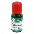 SECALE CORNUTUM LM 30 Dilution