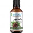SEEKIEFER Pinus pinaster Tinktur