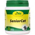 SENIOR Cat