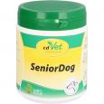 SENIOR Dog