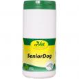 SENIOR Dog