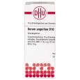 SERUM ANGUILLAE D 10 Globuli Ind.Fert.