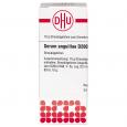 SERUM ANGUILLAE D 200 Globuli Ind.Fert.